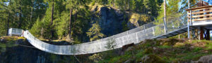 Elk Falls Suspended bridge