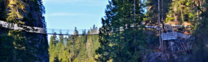 Elk Falls Suspended Bridge